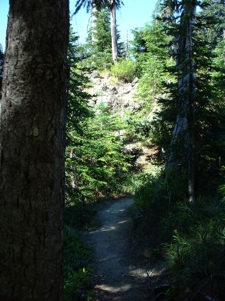 Trail above the lake