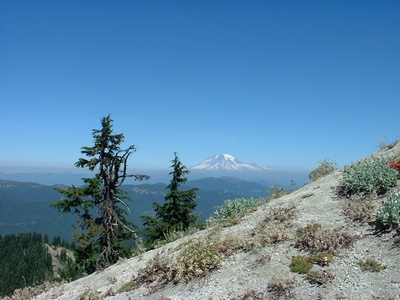 Mt Rainer