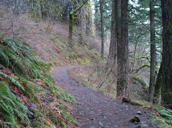 Horse Tail Falls and Oneonta Gorge