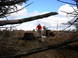 Paul at the top of Legacy